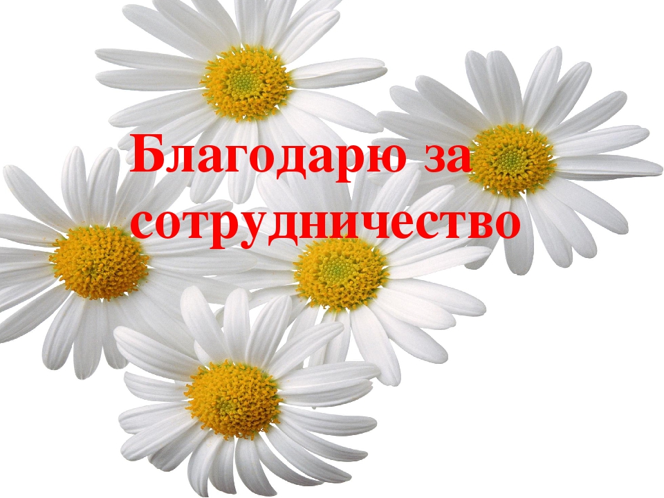 Картинки благодарим за сотрудничество, мая объемная