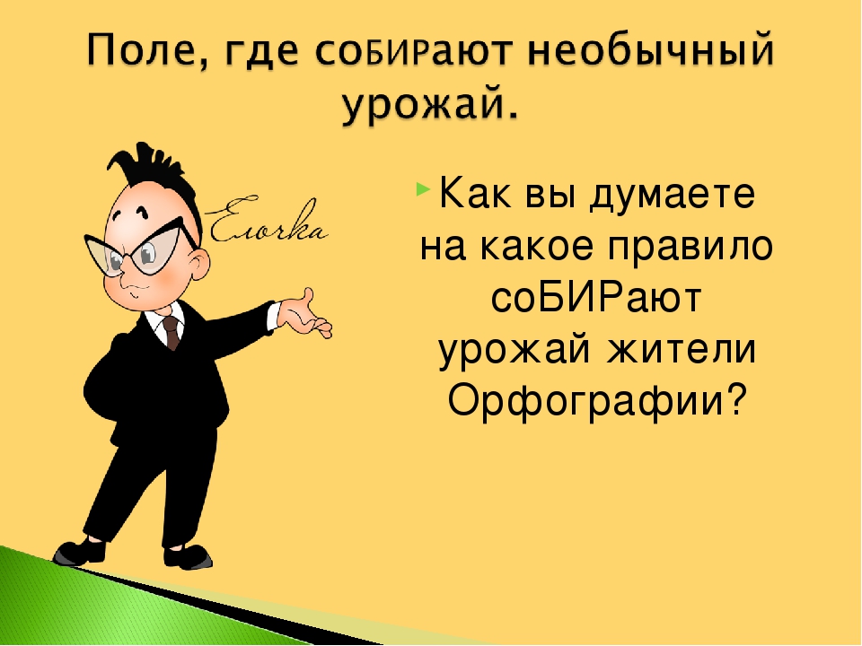 Собранного правило. Путешествие в страну орфографии.